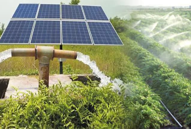 Solar-Powered Smart Irrigation